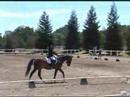 this video is elizabeth zima's ride on garrison winning the novice division raac championship at training level 4 with a 67.4 percent. congrats elizabeth & teddy!