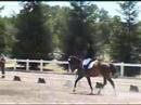 this video is elizabeth zima's ride on garrison winning the novice division raac championship at training level 4 with a 67.4 percent. congrats elizabeth & teddy!