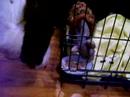 zero watches the sphynx eat