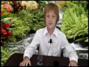 Dice Bomb Dice Trick MagicKits.com
