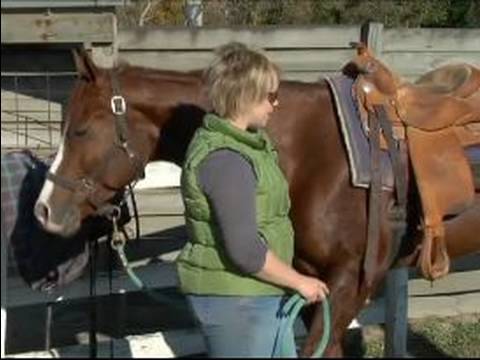 how to fit your horse with a western saddle