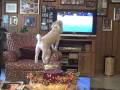 Meesha Moments Meesha Moments