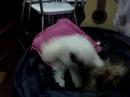 Ninna X Buba
