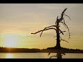 Liisi Koikson - V�ike J�rv