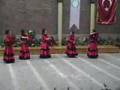 �ingenelerin gecesi