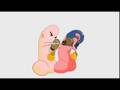 videos de duello cazzi