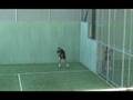 Entrenamiento Profesional Defensa