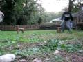 Scarlee,Jump,video
