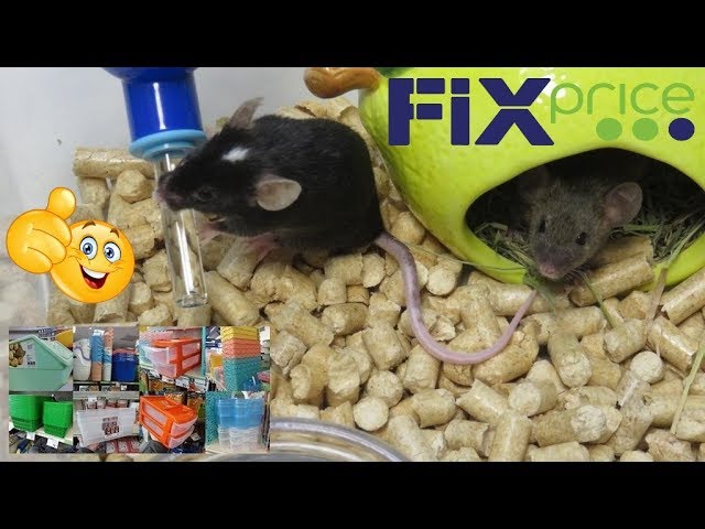 ✅домик для мышек🏠 из контейнера Fix Price✅
