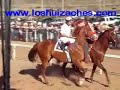 la clave 7 vs el willy 18 de marzo 2007