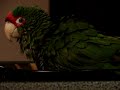 Bratty Redhead takes a bath Bratty Redhead takes a bath