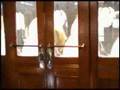 Elevador de Santa Justa (Lisboa) -- inside --