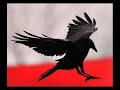 Black is the Colour  [The Eccentric Opera]