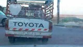 جولة في مخيم الحصن