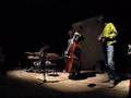 Rafael Toral, Joe Williamson, Michael Vorfeld - live MGF2008