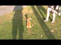 MOV05A