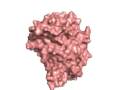 c-Kit bound to imatinib (Gleevec)