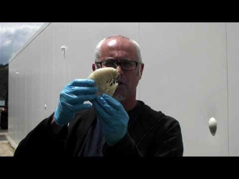 Image de prévisualisation YouTube