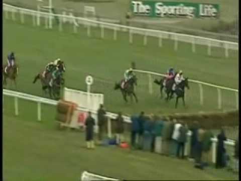 racing results cheltenham