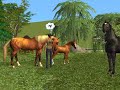 Wild Horses - Natasha Bedingfield, The Sims 2 Wild Horses - Natasha Bedingfield, The Sims 2
