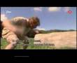 'Crocodile Hunter' Steve Irwin parody