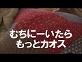 YouTubeサムネイル[s_rQiB6vLUA] - 2枚目