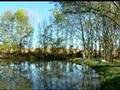 Crappie fishing in a farm pond