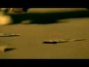 Kelly Rowland ft Snoop Dogg - Ghetto