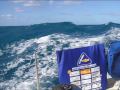 Sailing up east coast Australia_0002.wmv