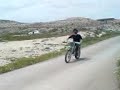 PUERTOLAS HACIENDO CABALLITOS