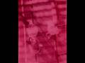 videos de The Verge -Tradition (1983)