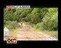 gara-qershor-2006.html