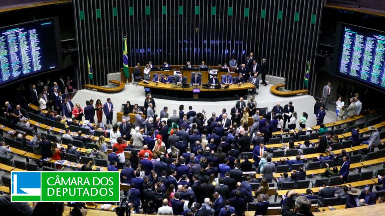 Conheça o papel desempenhado por deputados e senadores no Congresso - 17/8/2026