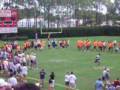 JaMarcus Russell BIG Throw