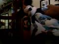 Joey vs. Mickey