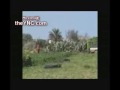 IDF Fire on Farmers in the Gaza Strip_ Followed by Female Shot at on Camera