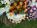 tribute to mum with saw docors never mind the strangers