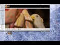 Here's a quick tutorial on how to save your original images, shot in RAW file format (.CR2) to a smaller, but still high quality JPEG format (.JPG). The program used is iPhoto.