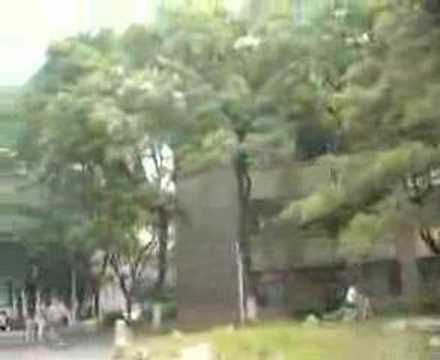 Peking University