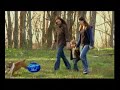 Bo Bice on Idol, 4/2/08