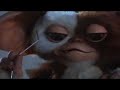 gizmo rambo