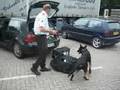 Zoll kontrolliert PKW mit Hund nach Drogen