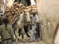 FES : THE MAGIC OF MOROCCO FES : THE MAGIC OF MOROCCO