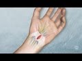 Carpal Tunnel Tune-Up