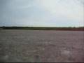 videos de Cupracer 2