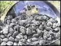 Lightning a BBQ with liquid oxygen