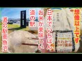 【新潟県道の駅南魚沼】おかずがいらないくらい美味しいごはんです！！南魚沼産コシヒカリの新米を食べに行ったら感動的な旨さでした。ちゃわんめしたっぽ家　2025年9月28日　新潟県南魚沼市