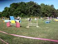 Crush Standard Cudahy