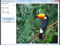 Shader effect using Color component shift
