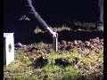 rakete raketenmotor treibsatz